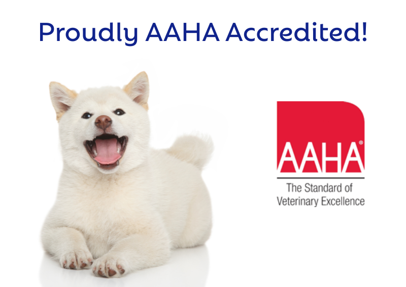 Carousel Slide 3: We are proud to meet the standard for veterinary excellence.
