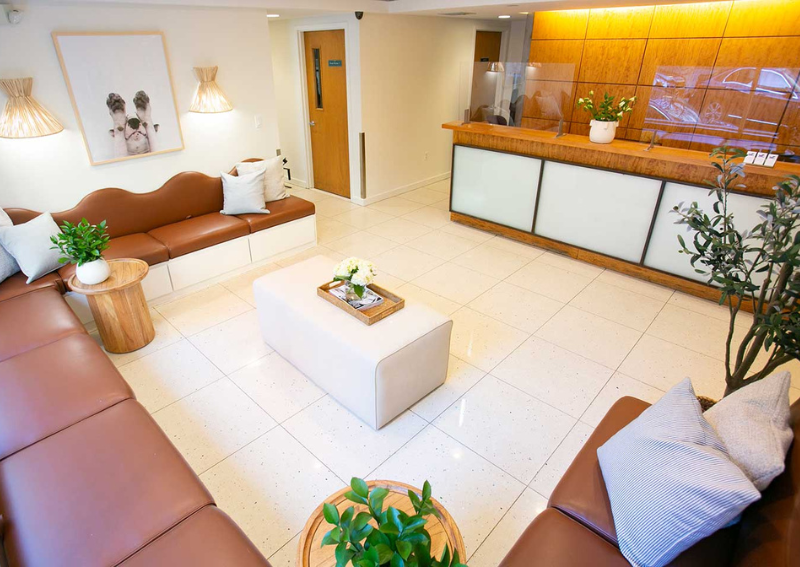 Carousel Slide 2: Welcome to our New York veterinary practice!