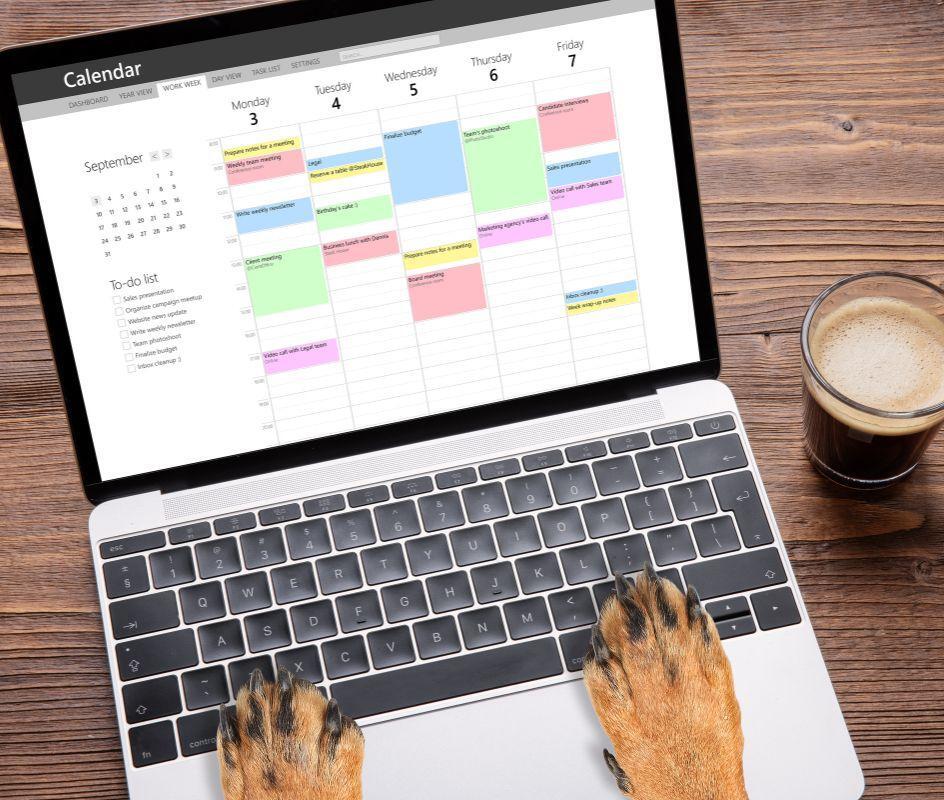 Appointment at Lincoln Square Veterinary Hospital