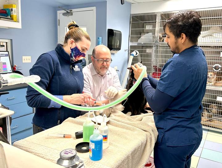 Digital Dental Radiology